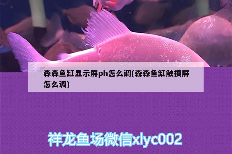 森森魚缸顯示屏ph怎么調(diào)(森森魚缸觸摸屏怎么調(diào)) 紅白錦鯉魚