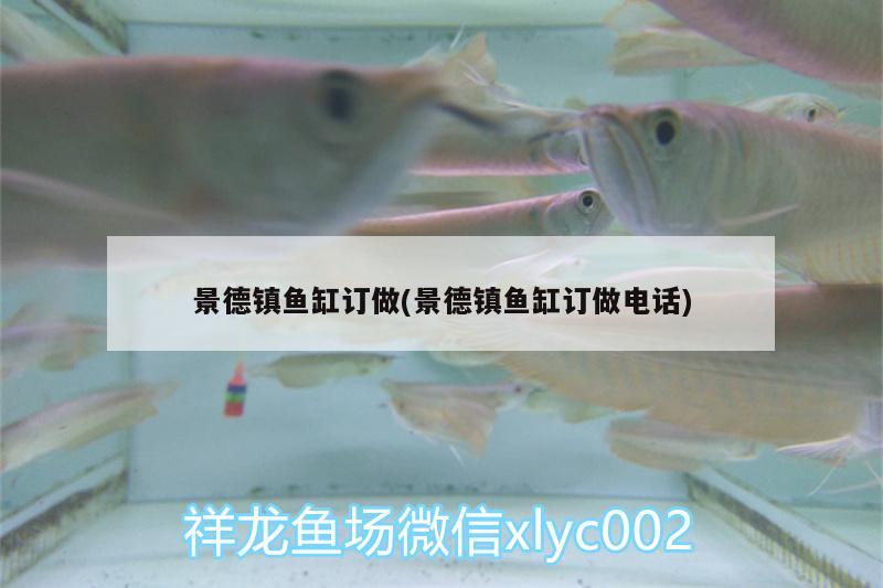 景德鎮(zhèn)魚缸訂做(景德鎮(zhèn)魚缸訂做電話)