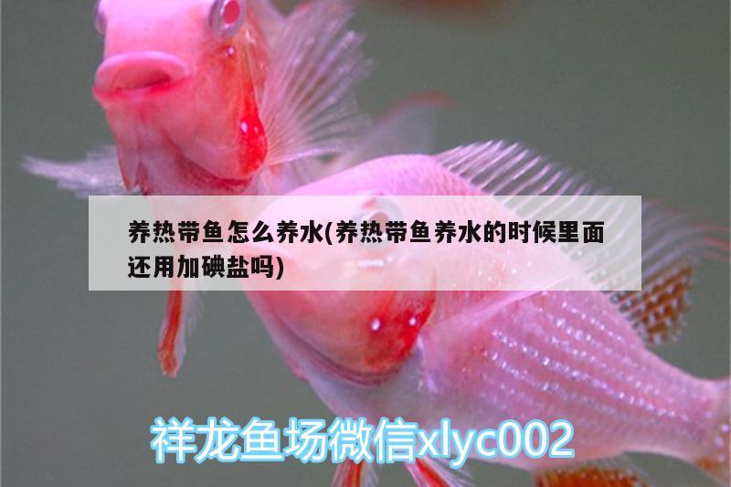 養(yǎng)熱帶魚怎么養(yǎng)水(養(yǎng)熱帶魚養(yǎng)水的時候里面還用加碘鹽嗎) 金頭過背金龍魚