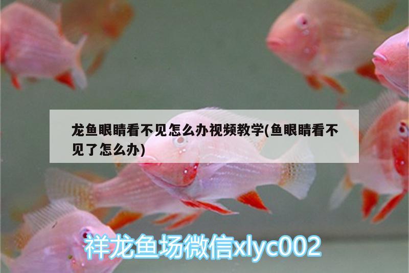 水世界魚缸代理（我是湖南長沙縣的，想買一個森森牌水族箱，）