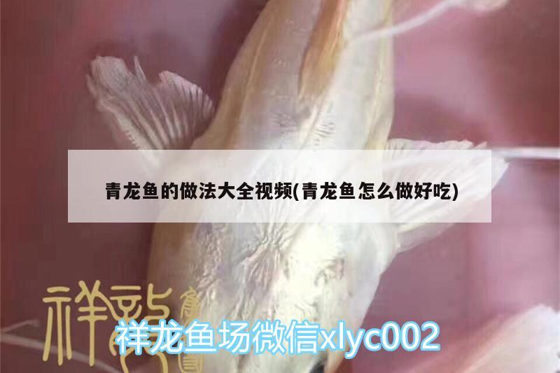 青龍魚的做法大全視頻(青龍魚怎么做好吃)