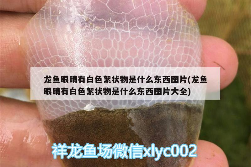 魚缸上樓搬運(yùn)方法圖解：魚缸怎么搬上樓