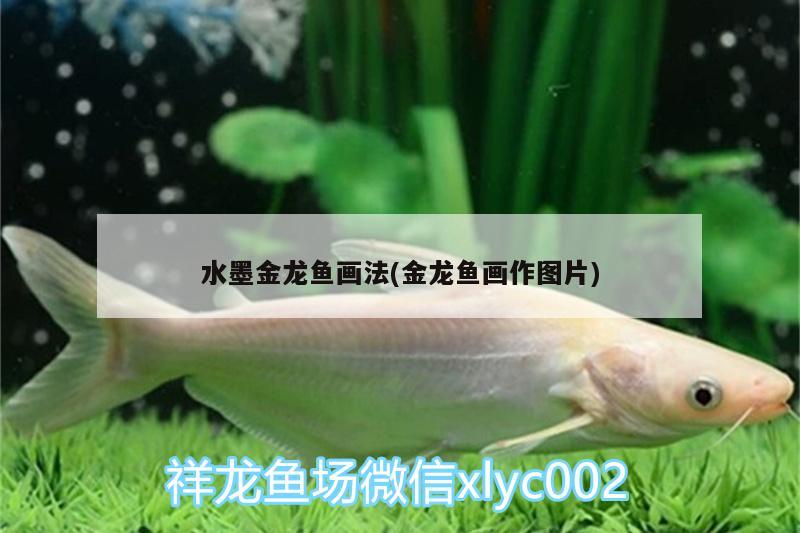 水墨金龍魚畫法(金龍魚畫作圖片)