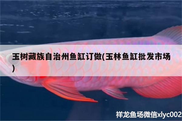 紫外線消毒魚缸多久一次合適：紫外線消毒魚缸多久一次合適呢 廣州水族批發(fā)市場 第2張