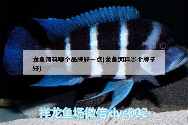 龍魚飼料哪個品牌好一點(龍魚飼料哪個牌子好) 馬拉莫寶石魚苗