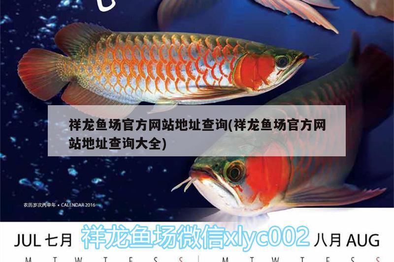 祥龍魚場(chǎng)官方網(wǎng)站地址查詢(祥龍魚場(chǎng)官方網(wǎng)站地址查詢大全)