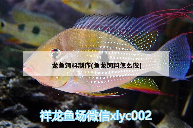 龍魚飼料制作(魚龍飼料怎么做)