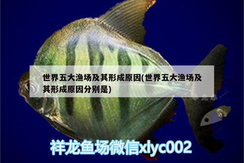 銅陵魚缸廠家直銷價格多少錢一斤（北京金橋裝飾城怎么樣） 魚缸水泵 第1張