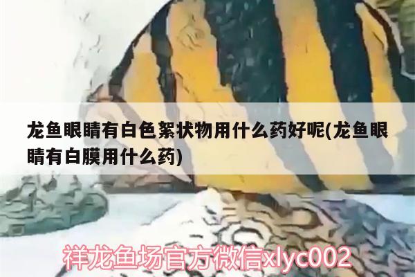 魚缸換氣泵安裝視頻大全，魚缸氣泵安裝方法