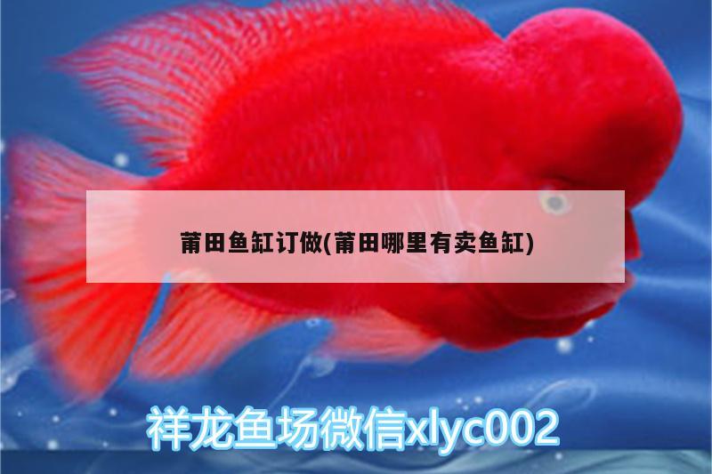 魚缸里面長(zhǎng)綠藻怎么樣防治處理：魚缸里面長(zhǎng)褐藻怎么樣防治處理 廣州水族批發(fā)市場(chǎng) 第2張