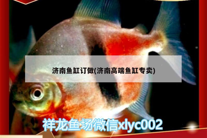 濟南魚缸訂做(濟南高端魚缸專賣)