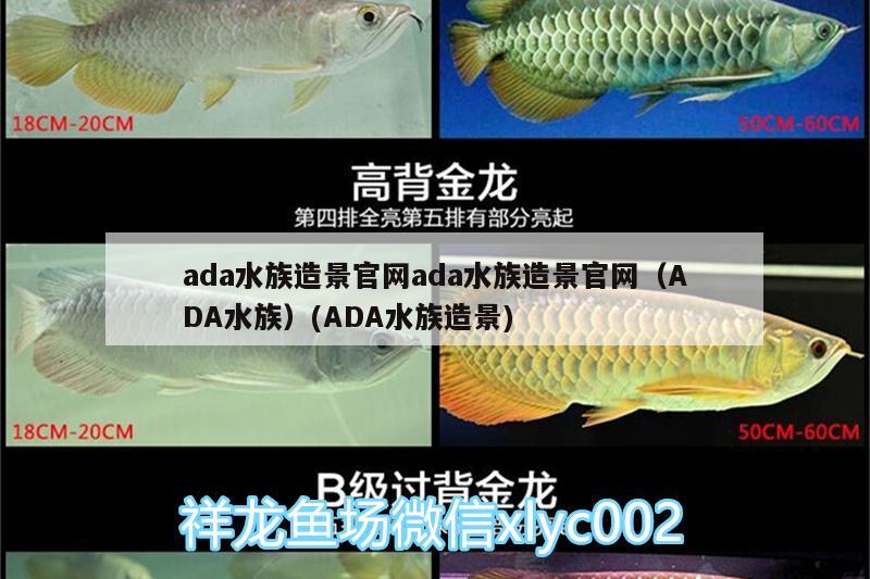 揚(yáng)州魚缸定制廠家有哪些地方電話(揚(yáng)州水族魚缸廠) 其他益生菌 第2張