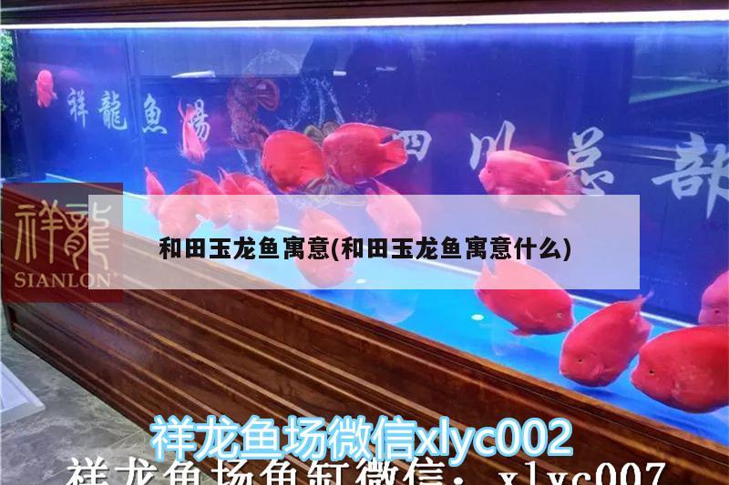 和田玉龍魚寓意(和田玉龍魚寓意什么)