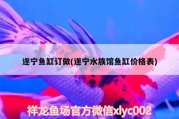 遂寧魚缸訂做(遂寧水族館魚缸價格表)