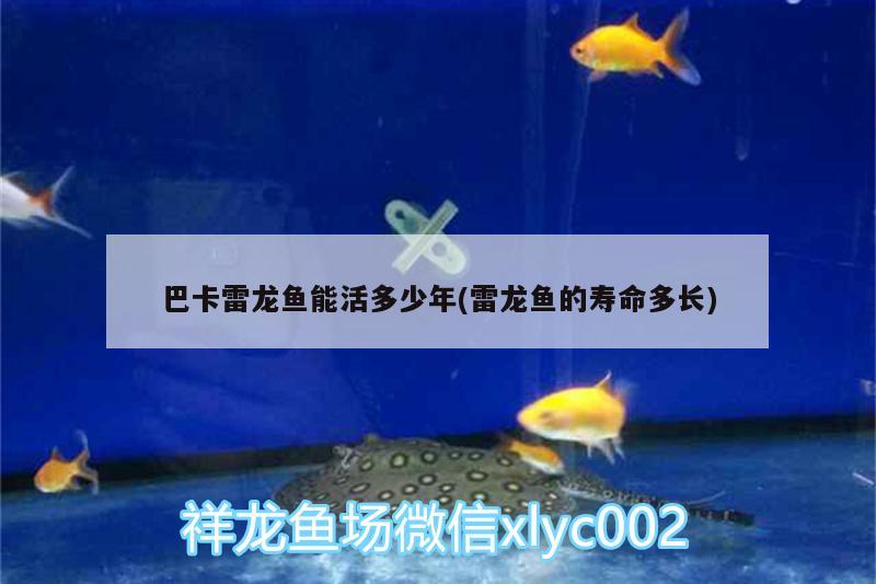 松寶魚缸過濾器漏水是什么原因（松寶過濾器使用方法）