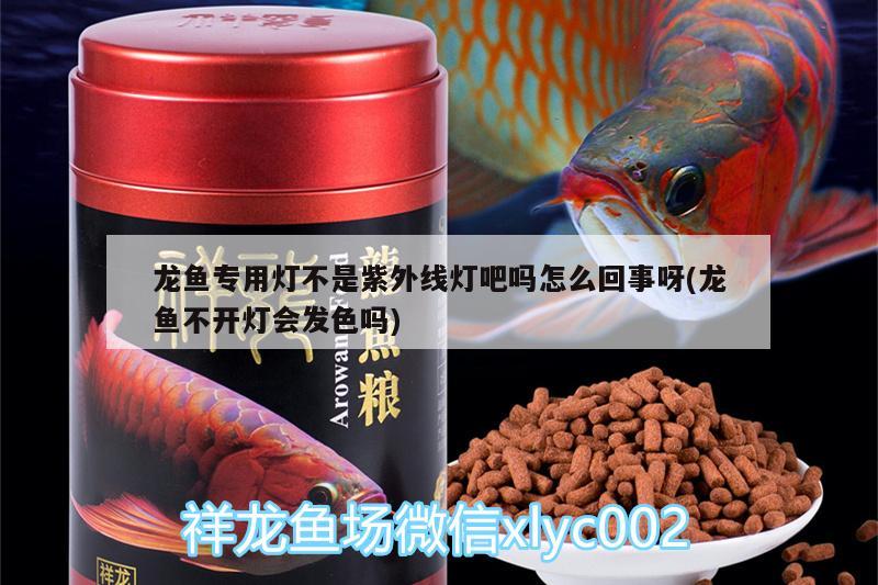 龍魚專用燈不是紫外線燈吧嗎怎么回事呀(龍魚不開燈會發(fā)色嗎)