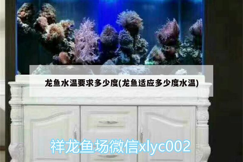 白玉金龍魚寓意什么生肖，十二生肖金龍魚適合哪個生肖，十二生肖金龍魚適合哪個屬相