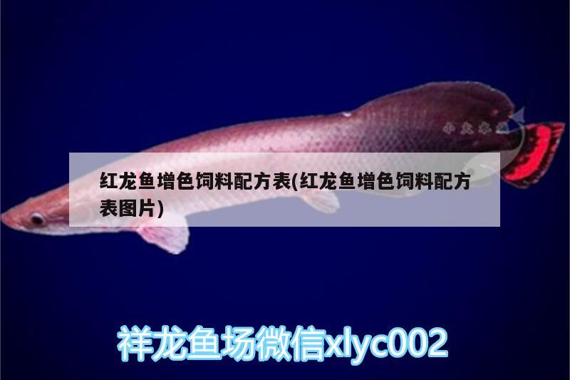 紅龍魚增色飼料配方表(紅龍魚增色飼料配方表圖片)