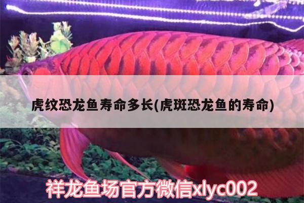 余姚哪里有賣魚缸的地方？，余姚哪里有賣魚缸的地方啊多少錢