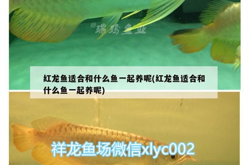 信陽魚缸訂做（信陽魚缸訂做店鋪） 全國水族館企業(yè)名錄 第1張