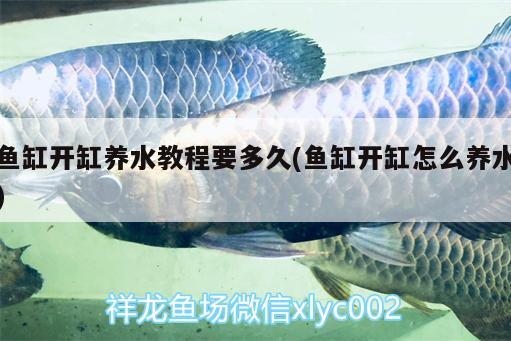 七彩雷龍魚苗如何喂吃(七彩雷龍喂養(yǎng)) 肥料 第3張