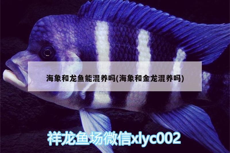 有了魚(yú)缸過(guò)濾器還需要換水嗎（有了魚(yú)缸過(guò)濾器還需要換水嗎為什么） 魚(yú)缸水泵 第2張