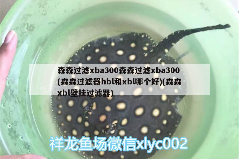 森森過濾xba300森森過濾xba300(森森過濾器hbl和xbl哪個好)(森森xbl壁掛過濾器) 祥龍水族護理水