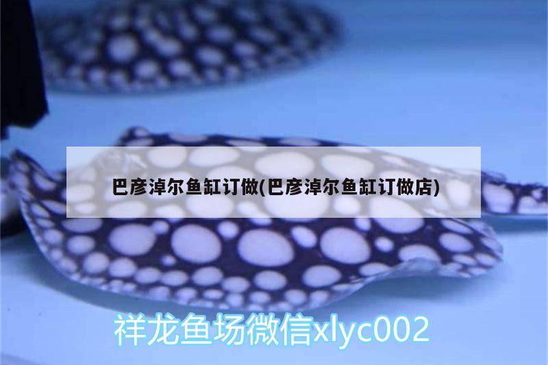 巴彥淖爾魚缸訂做(巴彥淖爾魚缸訂做店)