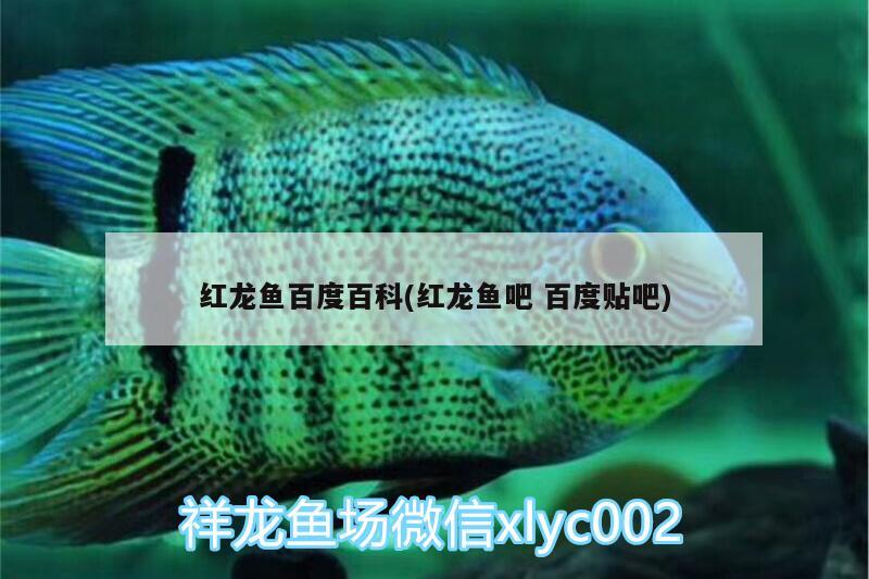 彩蝶魚(yú)缸尺寸圖片及價(jià)格圖 彩蝶魚(yú)缸怎么樣?