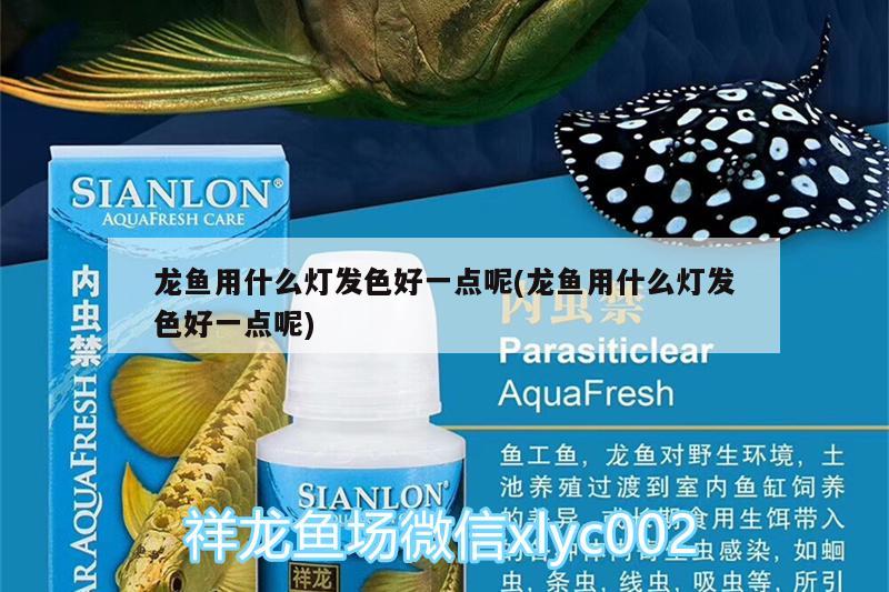 龍魚用什么燈發(fā)色好一點呢(龍魚用什么燈發(fā)色好一點呢) 綠皮皇冠豹魚