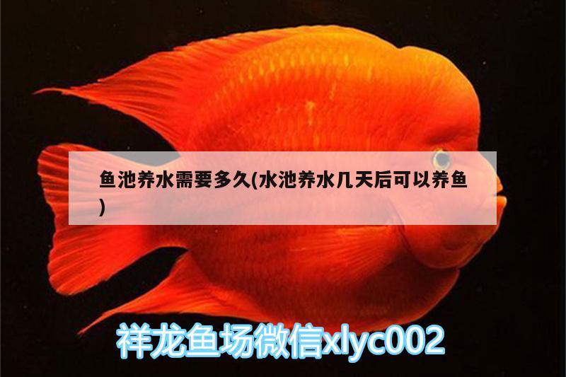 魚池養(yǎng)水需要多久(水池養(yǎng)水幾天后可以養(yǎng)魚)