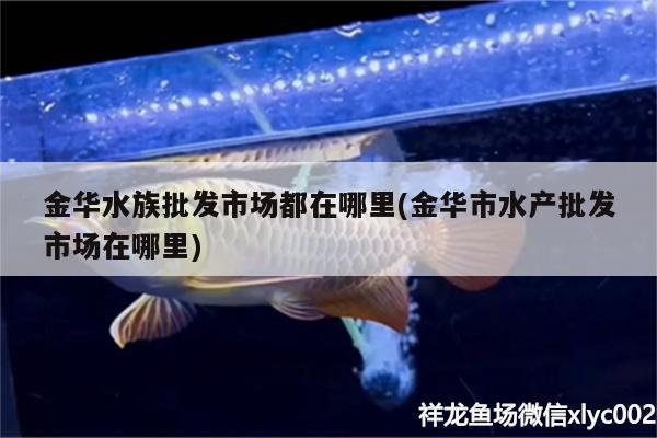 金華水族批發(fā)市場都在哪里(金華市水產批發(fā)市場在哪里) 觀賞魚水族批發(fā)市場