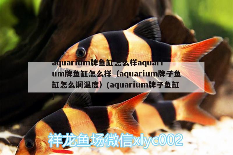 aquarium牌魚缸怎么樣aquarium牌魚缸怎么樣（aquarium牌子魚缸怎么調(diào)溫度）(aquarium牌子魚缸)