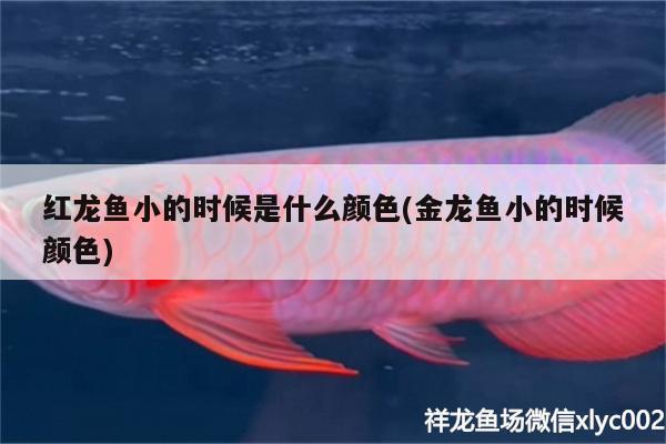 魚缸怎么拆解，魚缸如何拆解？，如何拆解魚缸