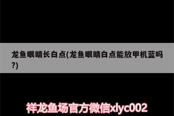 龍魚眼睛長(zhǎng)白點(diǎn)(龍魚眼睛白點(diǎn)能放甲機(jī)藍(lán)嗎?) 星點(diǎn)金龍魚