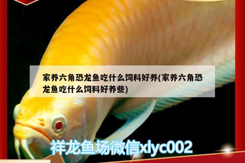 有一個長方體魚缸,長40厘米,寬25厘米（一個長方體魚缸從里面量長50厘米,寬25） 魚缸百科