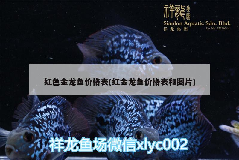 紅色金龍魚價(jià)格表(紅金龍魚價(jià)格表和圖片)