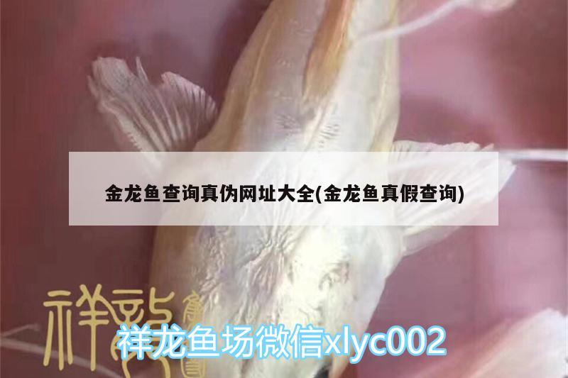 金龍魚查詢真?zhèn)尉W(wǎng)址大全(金龍魚真假查詢)