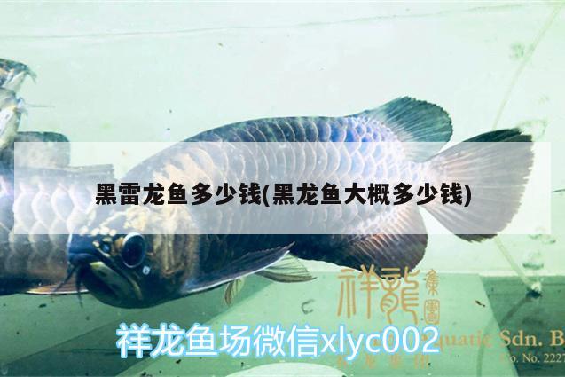 為什么觀賞魚不會(huì)繁殖 為什么觀賞魚不會(huì)繁殖呢 小型觀賞魚 第1張