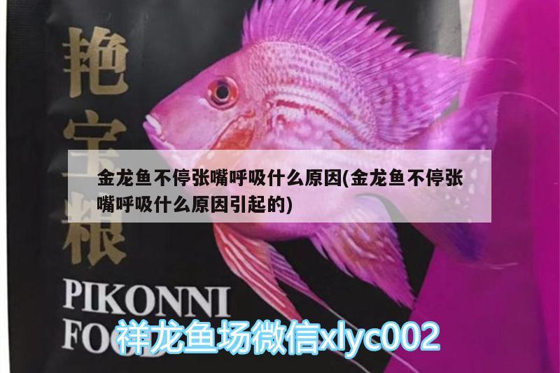 建平縣葉柏壽薩米特陶瓷門市（建平縣葉柏壽飯店） 全國(guó)水族館企業(yè)名錄