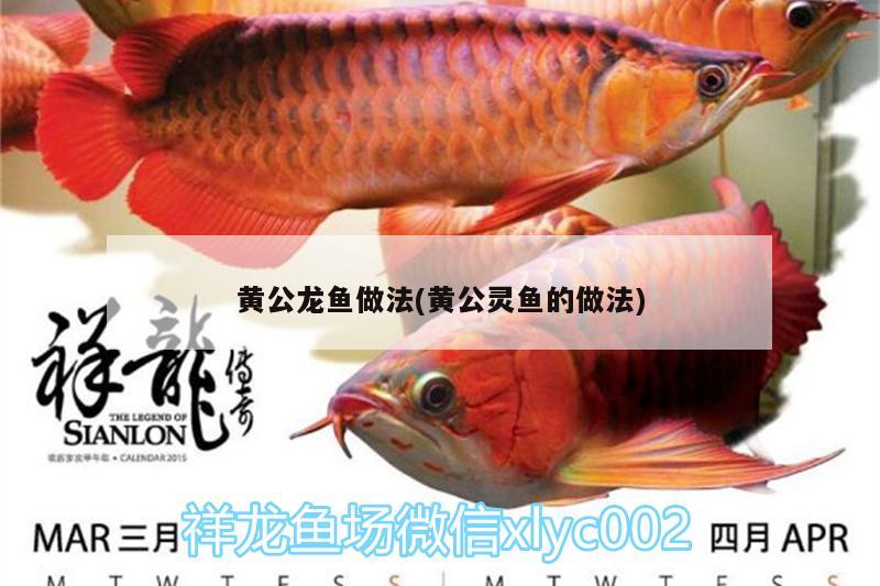 黃公龍魚做法(黃公靈魚的做法)