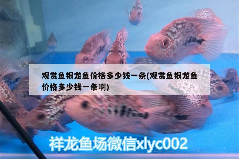 一米亞克力魚缸價格表（一米亞克力浴缸多少錢） 廣州水族器材濾材批發(fā)市場 第1張