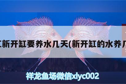 什么牌子的魚缸好用，大家喜歡什么品牌的魚缸 養(yǎng)魚的好處 第3張