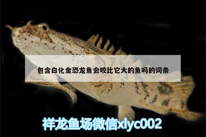 包含白化金恐龍魚會咬比它大的魚嗎的詞條 魚缸水泵 第2張