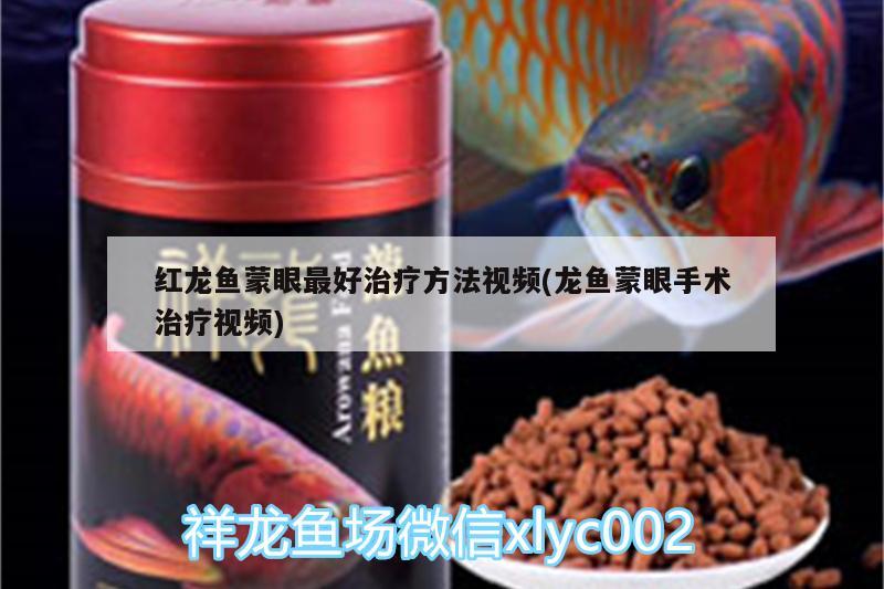 紅龍魚蒙眼最好治療方法視頻(龍魚蒙眼手術(shù)治療視頻)