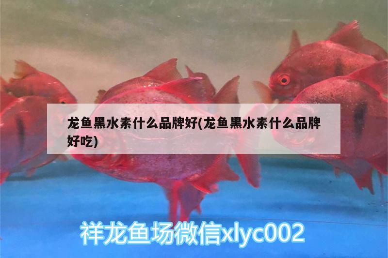 龍魚黑水素什么品牌好(龍魚黑水素什么品牌好吃) 黑水素