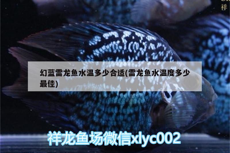 幻藍雷龍魚水溫多少合適(雷龍魚水溫度多少最佳) 過濾設(shè)備 第2張