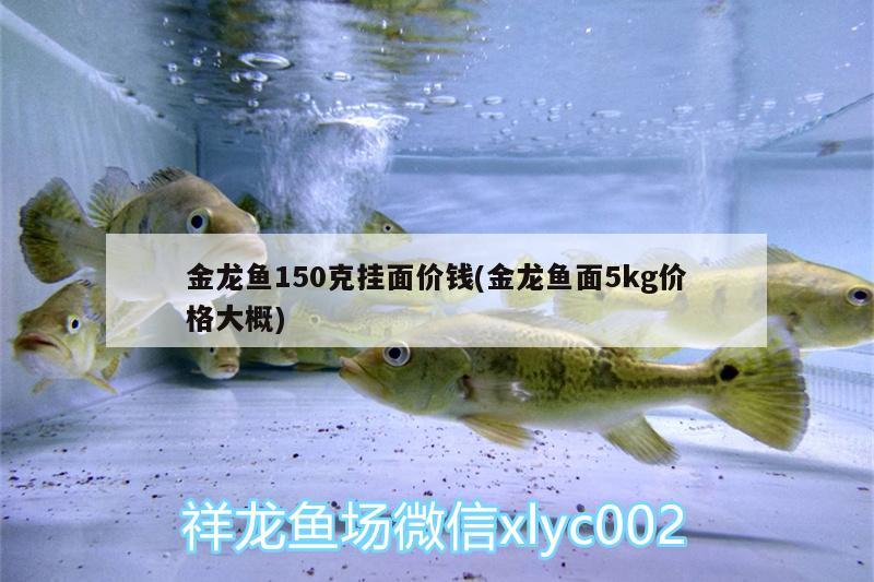 金魚是變種的鯉魚嘛，和金魚是不是鯉魚變的對應的相關信息，金魚是變種的鯉魚嘛 黑桃A魚苗 第1張