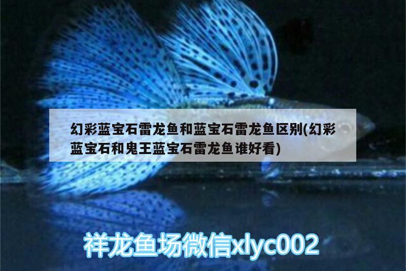 長春哪里賣魚缸配件便宜又好：