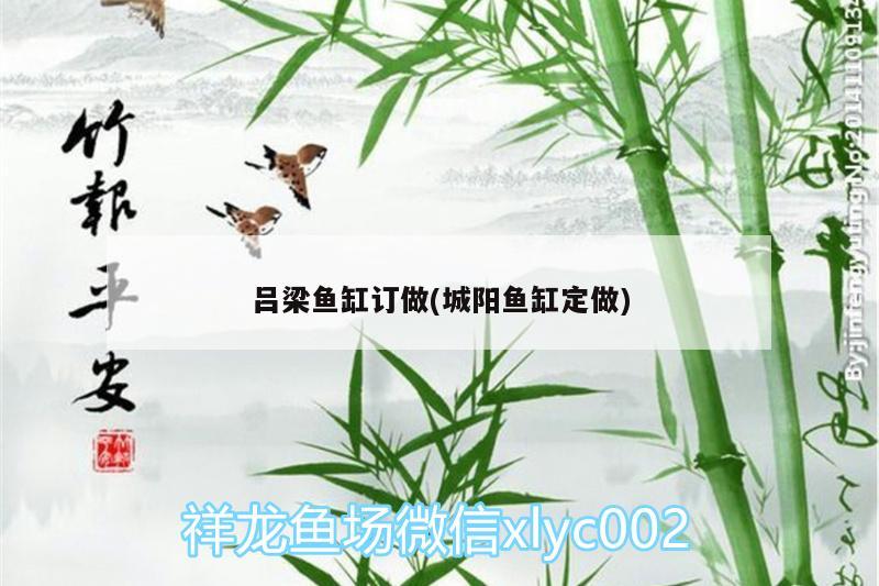 呂梁魚缸訂做(城陽魚缸定做) 魚缸水質(zhì)穩(wěn)定劑